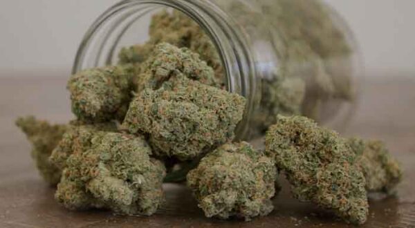 Buy Cali Kush Marijuana Strain